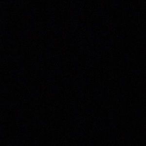 Meet your Posher, Brady